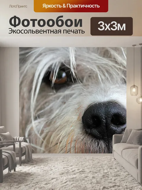 Фотообои Собака