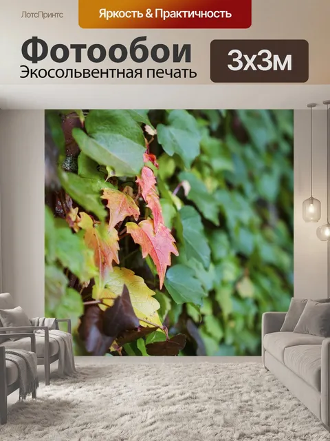 Фотообои Листья