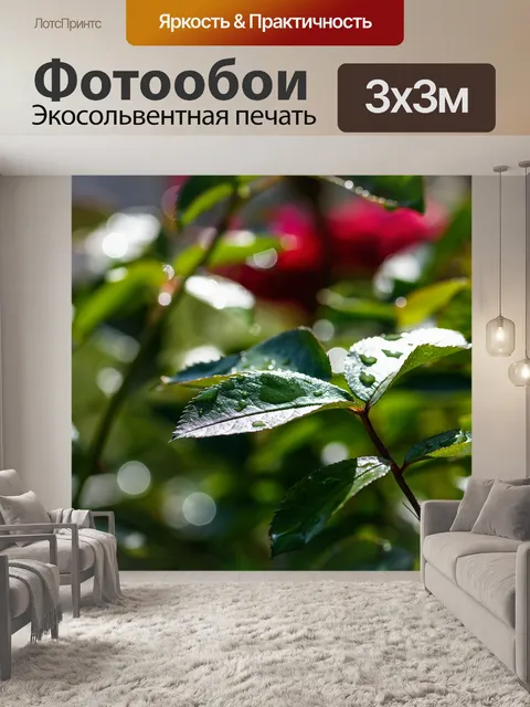 Фотообои Роуз