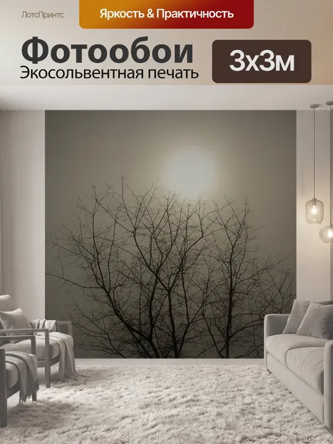 Фотообои Туман