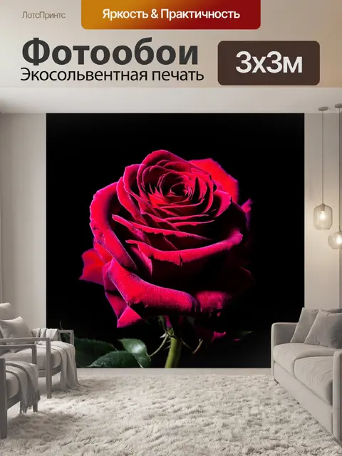 Фотообои розы в стиле нуар, с наложением текстур, представляющим собой игру света и тени