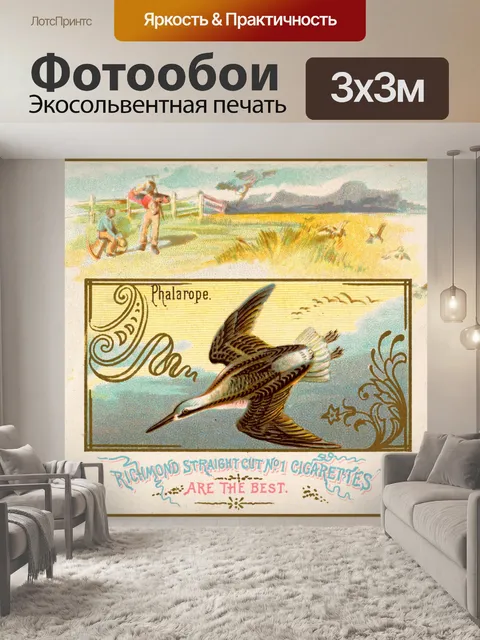 Фотообои Плавунчик