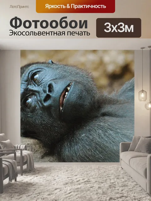 Фотообои Обезьяна