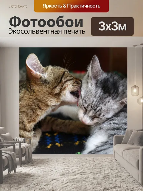 Фотообои Котенок