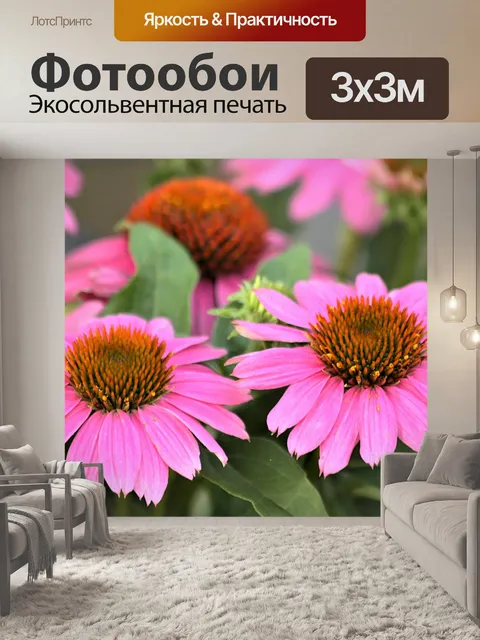 Фотообои Два розовых конуса крупным планом