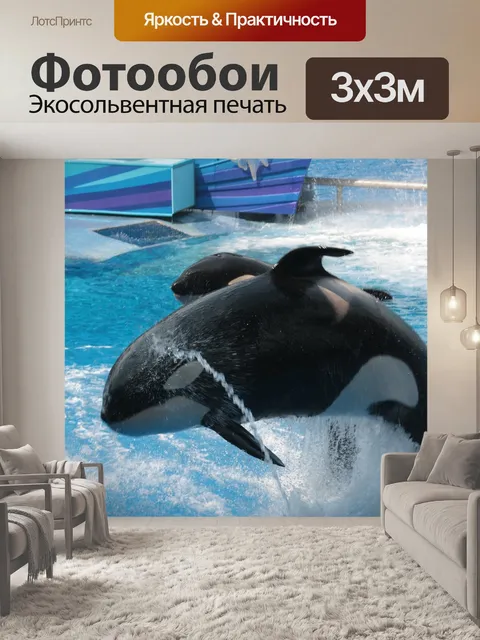 Фотообои Морской мир