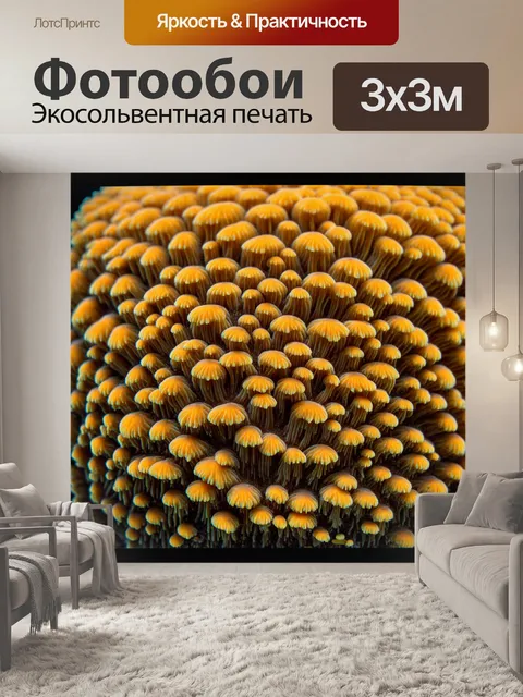 Фотообои грибы плесневые, снятые с близкого расстояния, под светом микроскопа, показывающие сложные структуры и споры