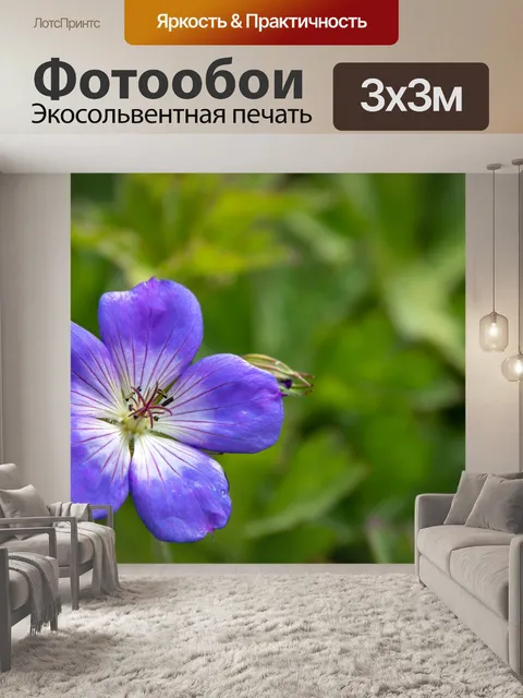 Фотообои Цветок, голубой цветок