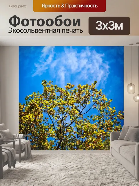 Фотообои Падение