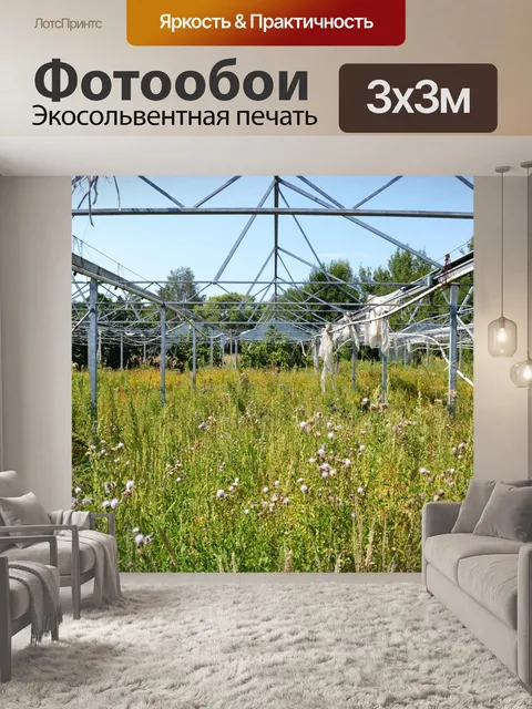 Фотообои Заброшенная теплица