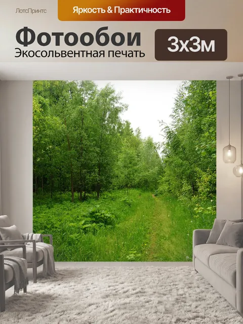 Фотообои Лес