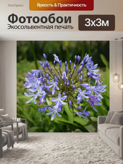 Фотообои Декоративный лук