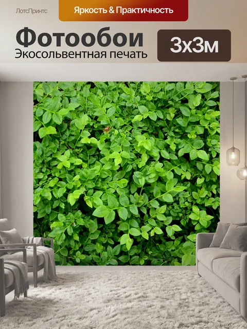 Фотообои Голубика