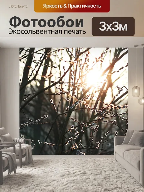 Фотообои Пальмовая ветвь