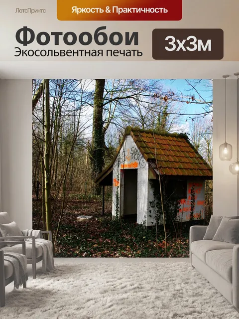 Фотообои Заброшенный домик