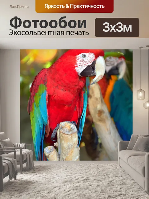 Фотообои Попугай по темпераменту