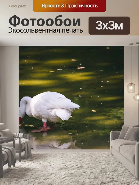 Фотообои Белая птица