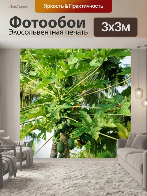 Фотообои Папайя