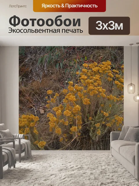 Фотообои желтый цветущий карри