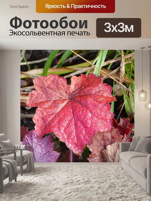 Фотообои Лист