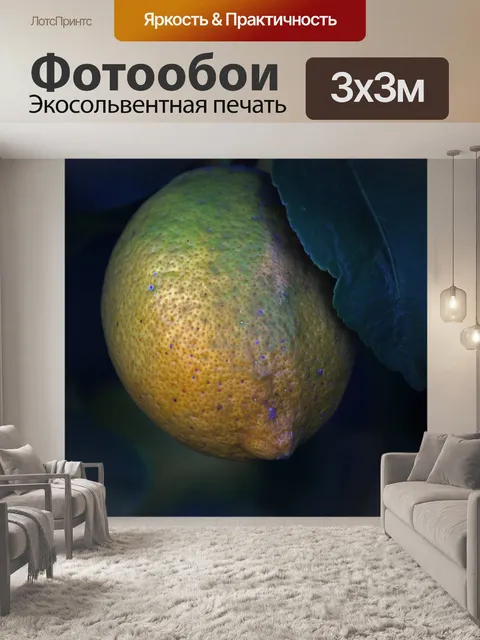 Фотообои вид созревшего лимона на дереве
