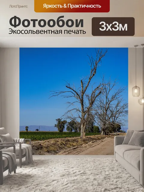 Фотообои грязная дорога