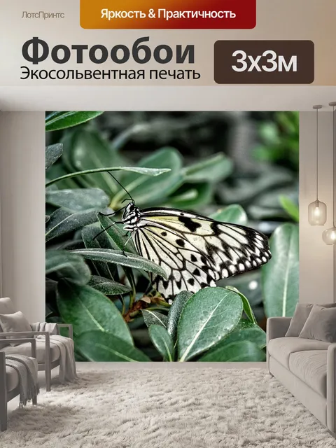 Фотообои Идея