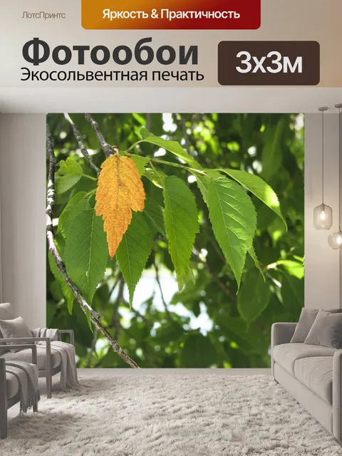 Фотообои Один Golden Leaf