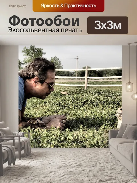 Фотообои Собаки