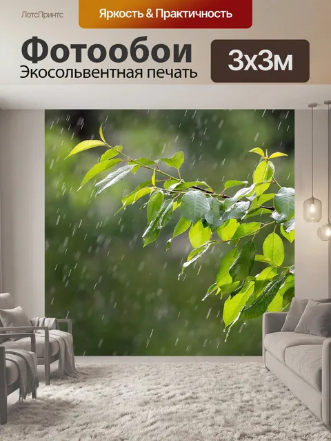 Фотообои Дождь
