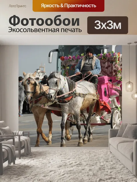 Фотообои Лошадь