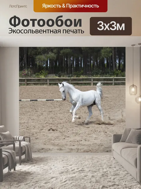Фотообои Лошадь