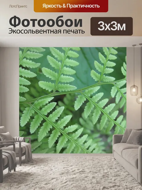 Фотообои Папоротник