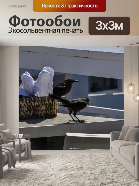 Фотообои Черные птицы на столе ресторана
