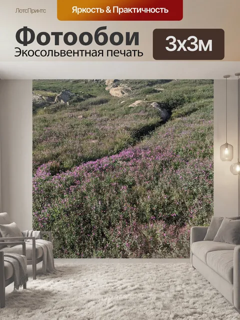 Фотообои Арктический