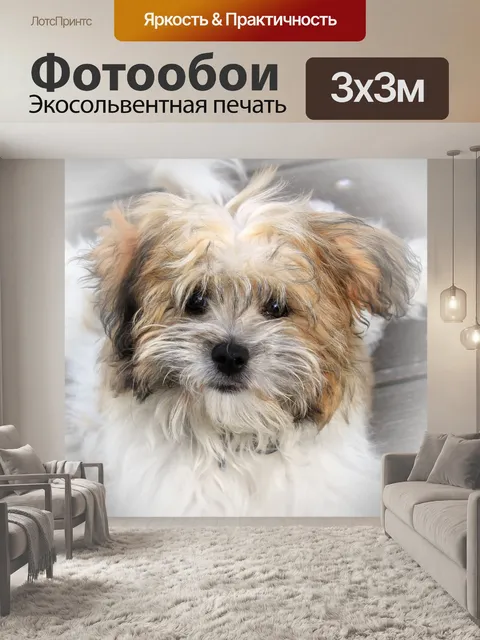 Фотообои Собака