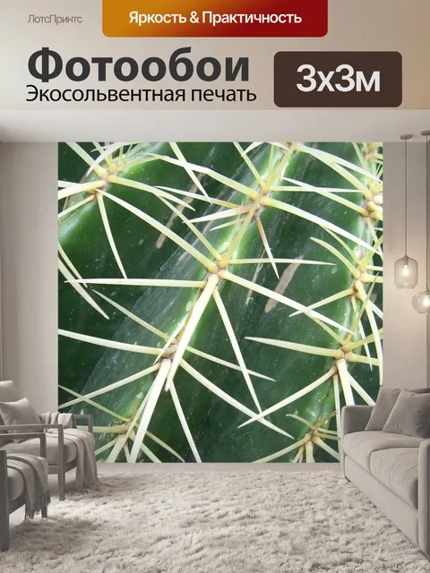 Фотообои Кактус