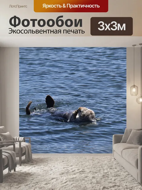 Фотообои Морская выдра