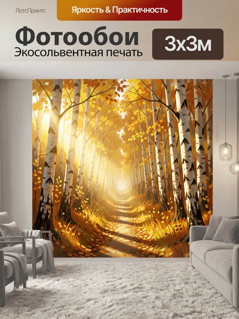 Фотообои Осенняя березовая аллея в лесу