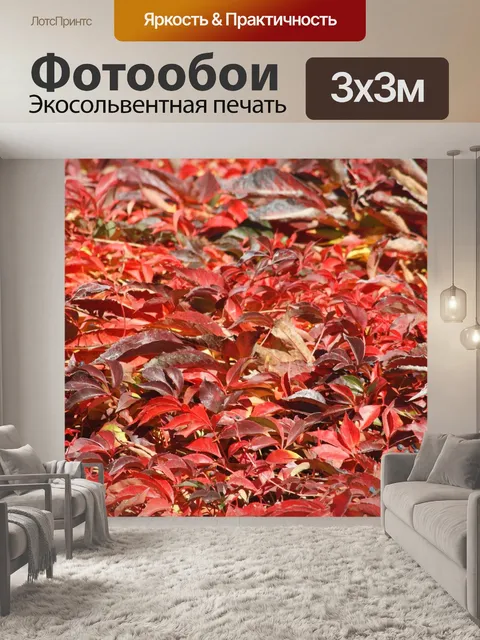 Фотообои Красный