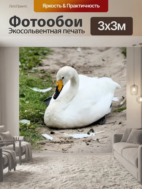 Фотообои Флейта лебедь