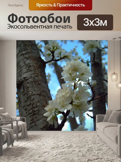 Фотообои Цветет отвеса