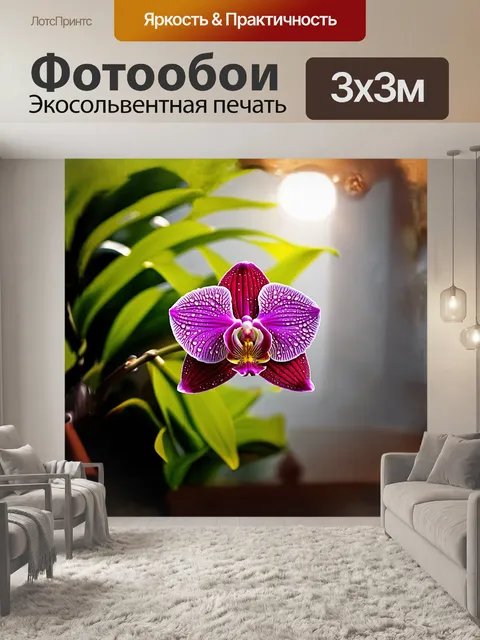 Фотообои величественная орхидея