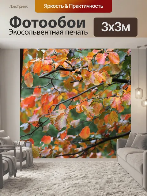 Фотообои Осень