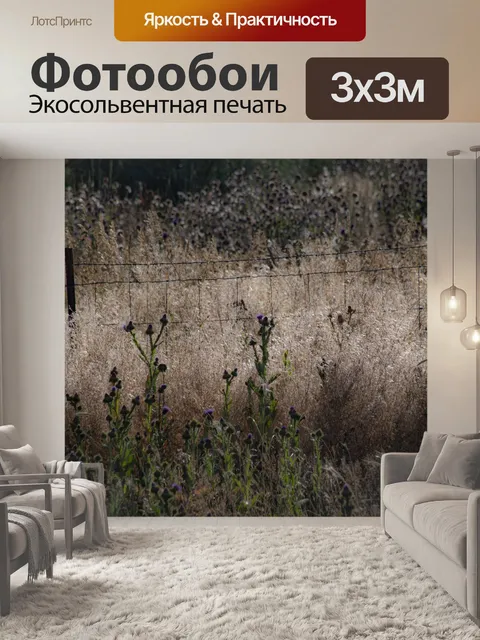 Фотообои Чертополох артишока