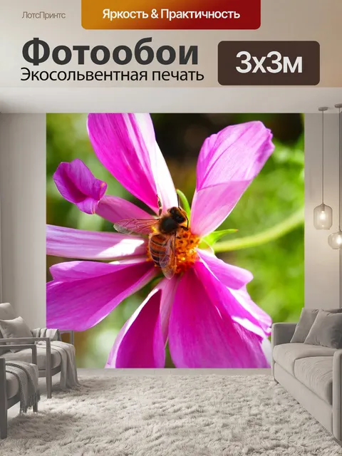 Фотообои Фиолетовый