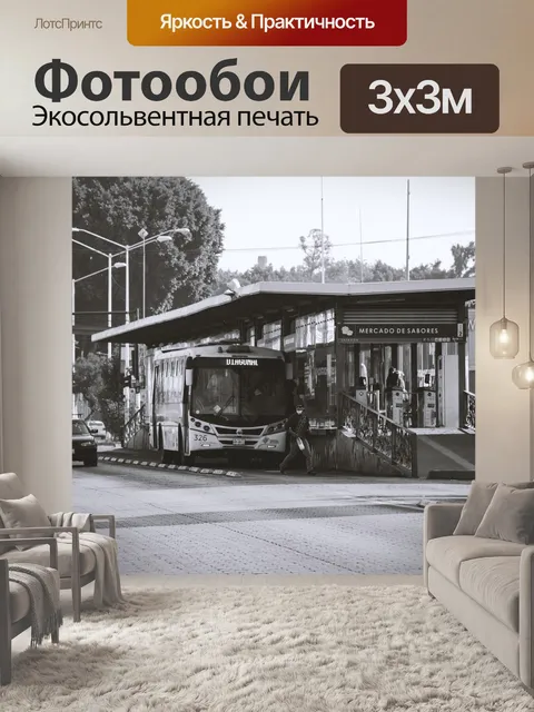 Фотообои Фотография