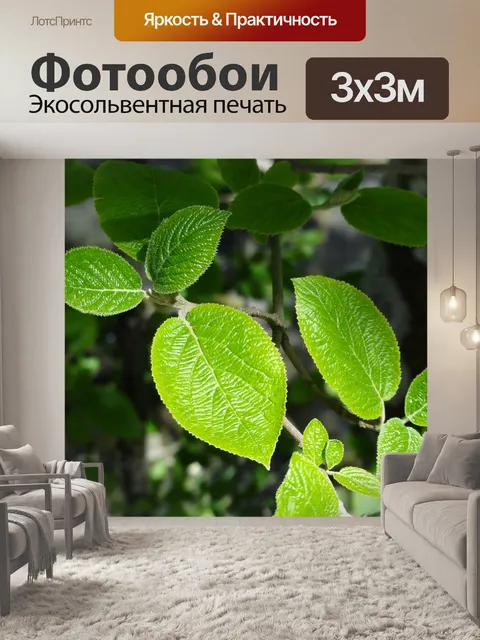 Фотообои Листья