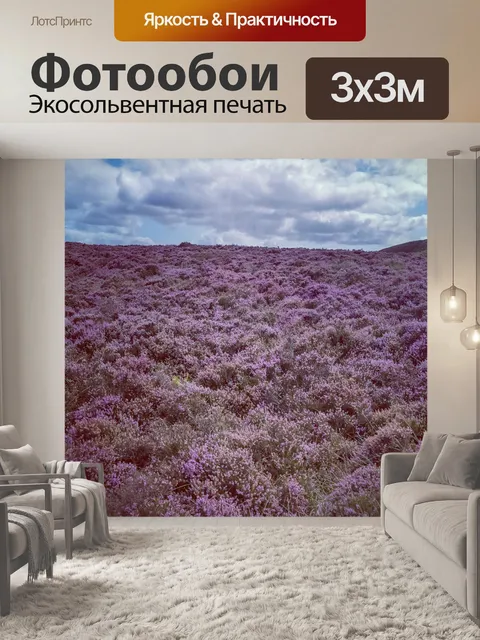 Фотообои Хизер, Летний пейзаж