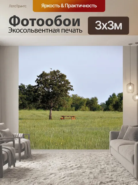 Фотообои Стол для пикника в поле страны